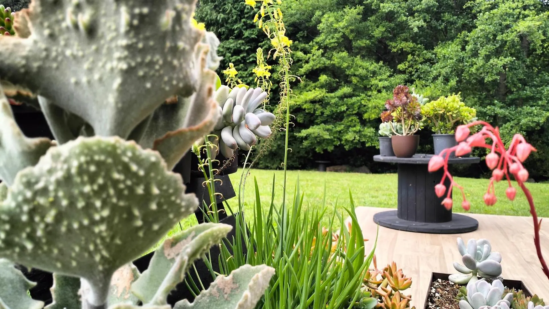 Casa di campagna Agroturismo Araize Mungia Spagna